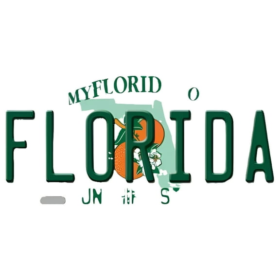 Smart Blonde LP-6005 Florida Novelty Metal License Plate