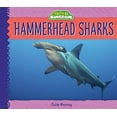 thumbnail image 2 of Animal Kingdom Hammerhead Sharks, (Hardcover), 2 of 2