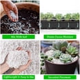 thumbnail image 6 of 4 Quarts Organic Horticultural Perlite for Plants Indoor- Natural Horticultural Soil Additive Conditioner Mix for Improves Drainage, Ventilation and Root Growth, 6 of 7