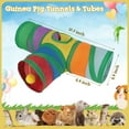 thumbnail image 2 of Guinea Pig Tunnel Hideout, 3 Way Collapsible Small Pet Tunnels and Tubes with Interactive Ball Toy, Hamster, Baby Rabbit, Baby pig, Chinchilla, Hedgehog, Ferret Hiding Animal and Resting, 2 of 6