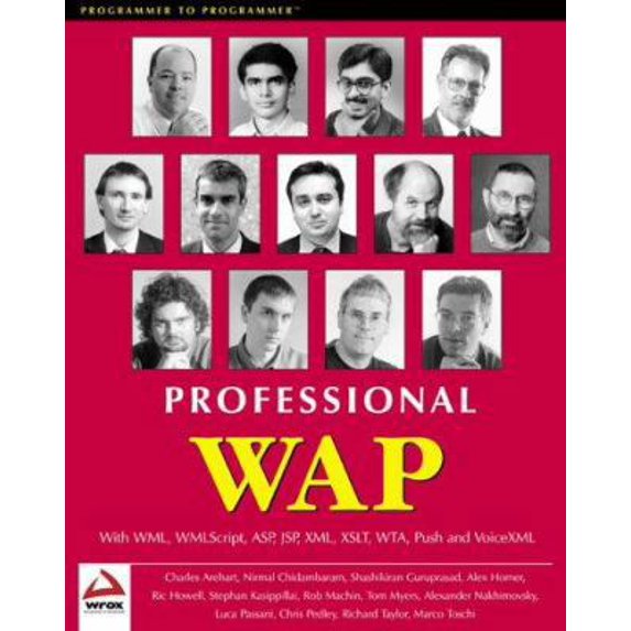 Pre-Owned Professional Wap (Paperback) 1861004044 9781861004048