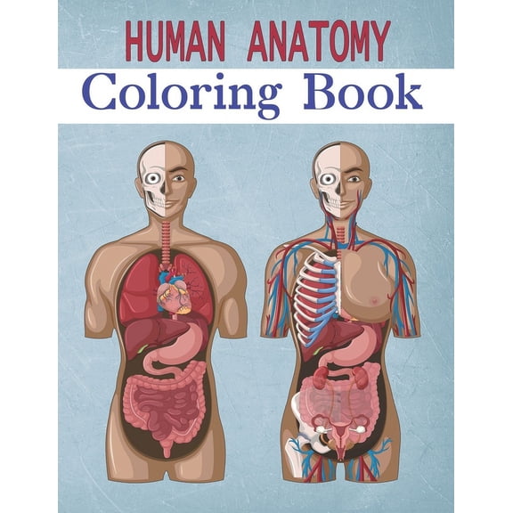 Human Anatomy Coloring Book: Brain Heart ... for kids, (Paperback)