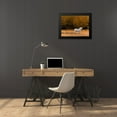 thumbnail image 4 of Chester, Colby 24x19 Black Modern Framed Museum Art Print Titled - White Horse, 4 of 5