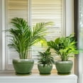 thumbnail image 6 of Ceramic Pots for Plants, 10+8+6 Inch Round Decorative Planters for Indoor Outdoor with Drainage Holes and Saucers, Office Garden Room Patio Decor, Gifts for Plant Lovers, Set of 3, Green, 6 of 8