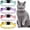 Purple, Blue, Gold, Pink, variant on Mumup 4 Pieces Rhinestones Cat Collars Breakaway Cat Collar with Bell Bling Pet Accessories with Soft Velvet
