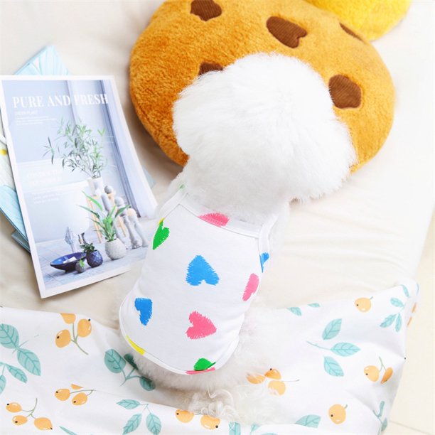 Teddy Pequeño Perro Primavera Verano Amor Impresión Camisola Ropa De