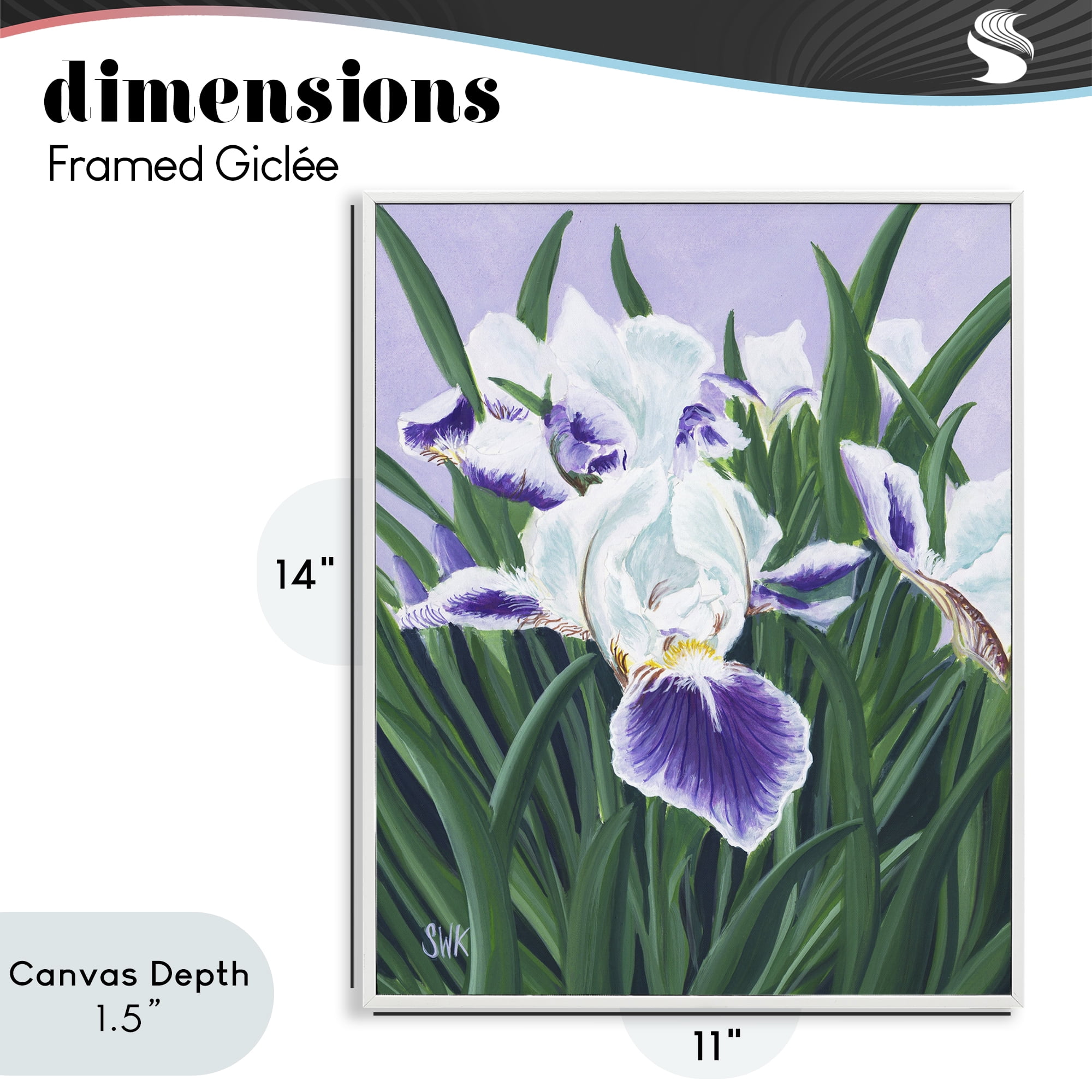 Stupell Industries Purple & White Irises White Framed Giclee Art, design by Sarah Waldron Kimball
