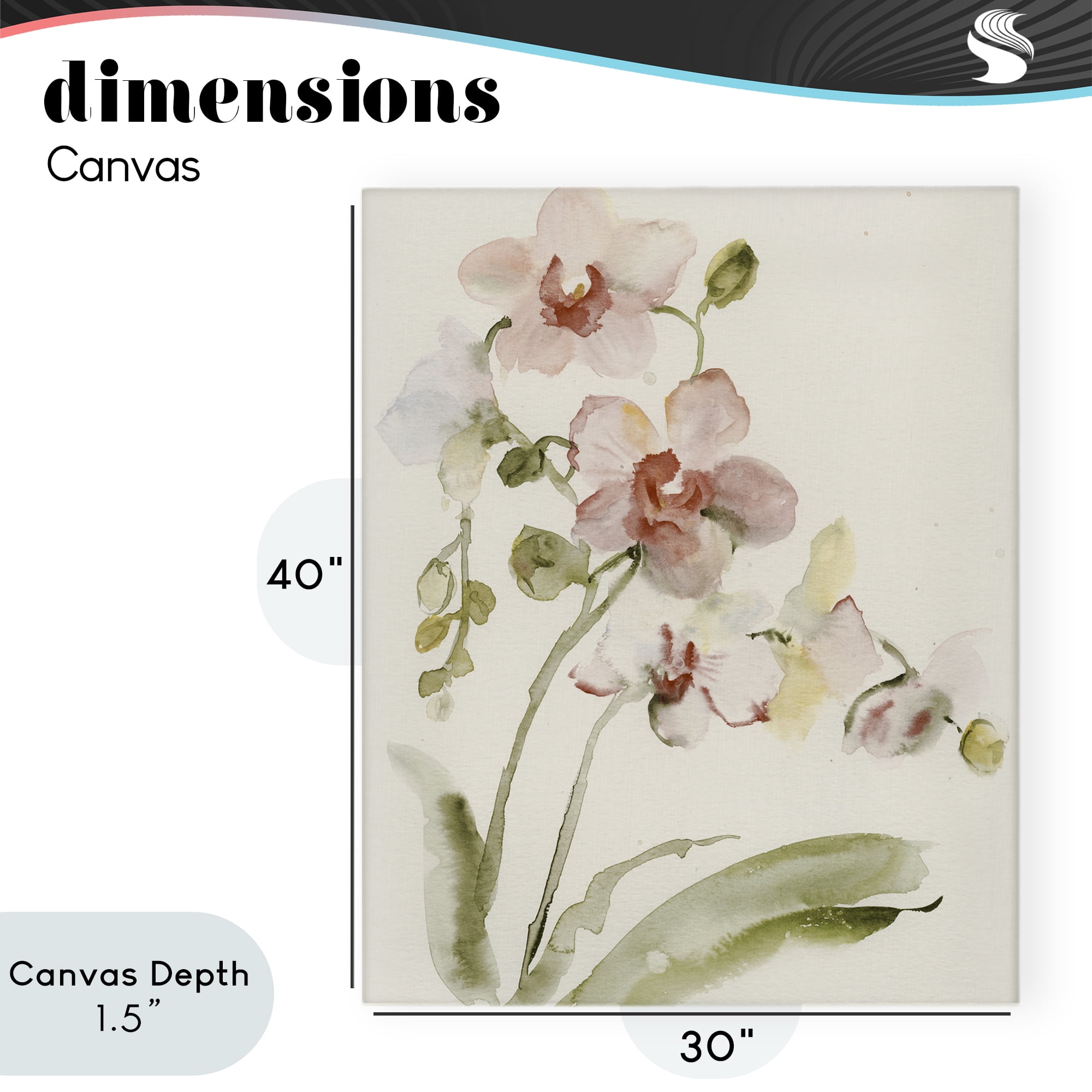 Stupell Industries Gentle Pink Orchid in Bloom Canvas Wall Art, design by Victoria Barnes