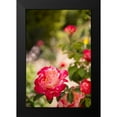thumbnail image 2 of Millet, Karyn 11x14 Black Modern Framed Museum Art Print Titled - Rose Garden I, 2 of 5