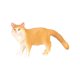 thumbnail image 2 of Juguetes de simulación BLESIY modelo de animales realistas de gato pequeño Amarillo, 2 of 8
