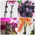 thumbnail image 3 of Miangastore 20pcs Climbing Plant Fixing Clips Plant Wall Climbing Fixing Clamps Set (Coffee), 3 of 8
