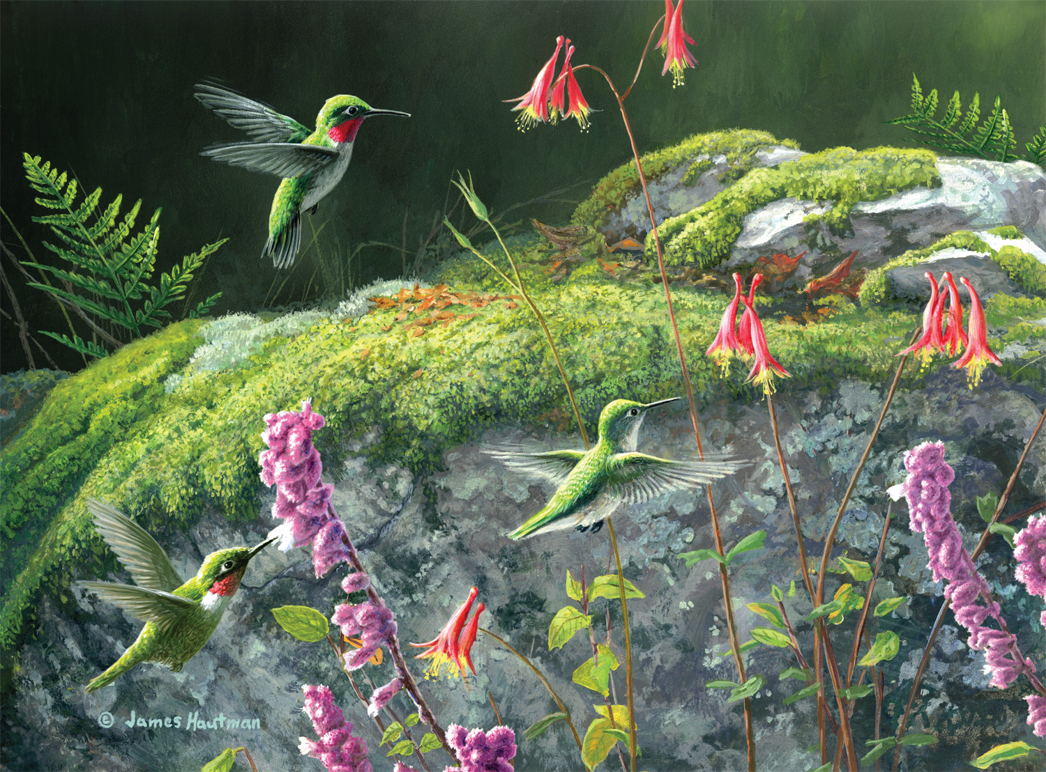 Buffalo Games 1000-Piece Hautman Brothers Dappled Hummingbirds Jigsaw Puzzle