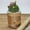Rose Gold, variant on Washable Kraft Paper Bag Plant Flowers Pots Multifunction Home Storage Bag White Storage Case,White,Mixed Materials