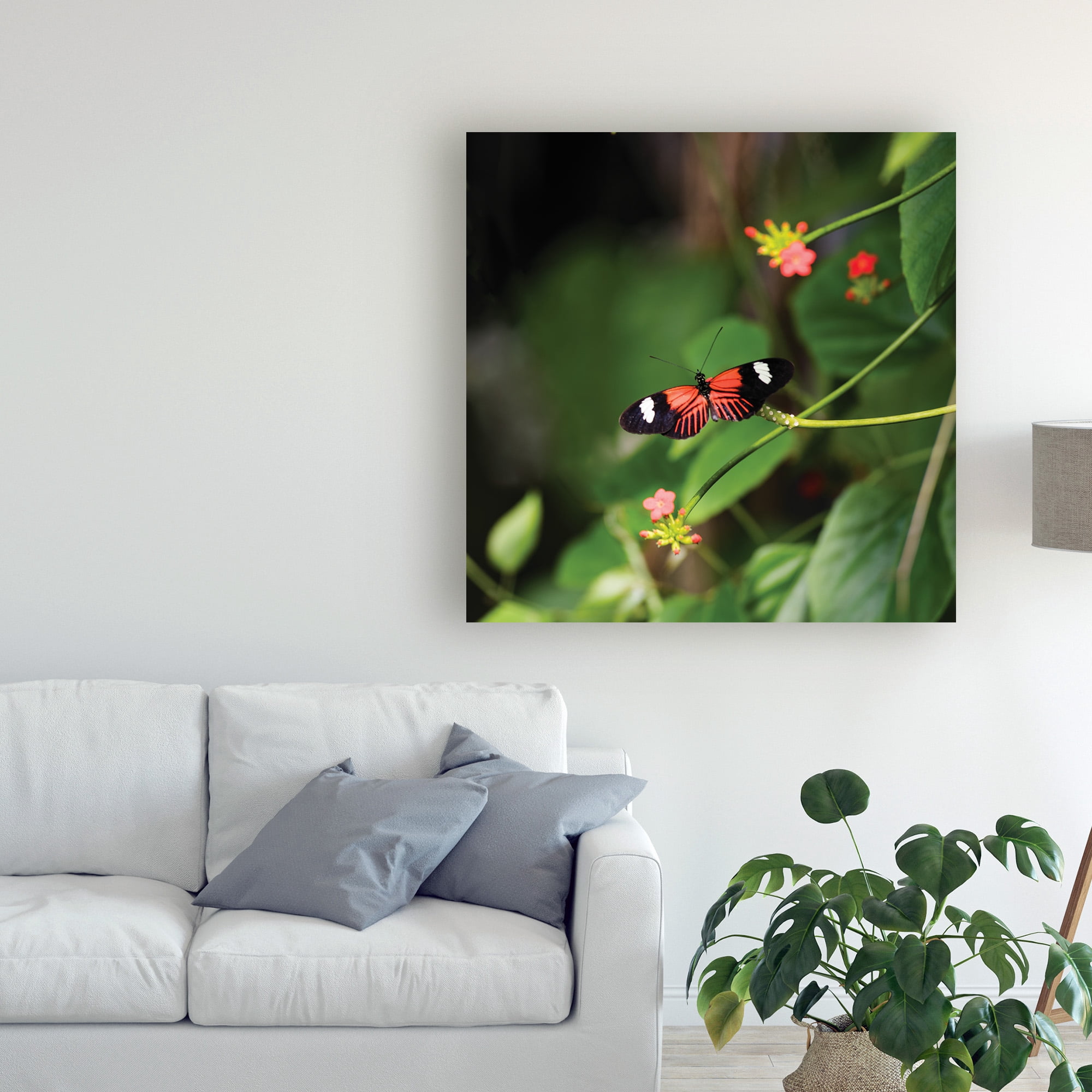 Trademark Fine Art 'Doris Longwing Butterfly' Canvas Art by Kurt Shaffer