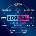 thumbnail image 5 of Nature's Strength Brain Supplements for Memory and Focus - Cognitive Vitamins to Support Concentration, Energy, Clarity - Brain Health - Bacopa Phosphatidylserine DMAE - 60 Capsules, 5 of 9
