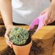 thumbnail image 4 of HWRETIE - Pala de plástico para pavimento suculento,herramienta de jardinería doméstica,pala de plástico para plantar y paisajismo, 4 of 5
