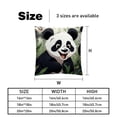 thumbnail image 5 of Panda Velvet Throw Covers Pillows with Unique Patterns - Set of 2 Decorative Pillow Inserts in 16x16, 18x18, 20x20 Inches for Home Decor and More, 5 of 6