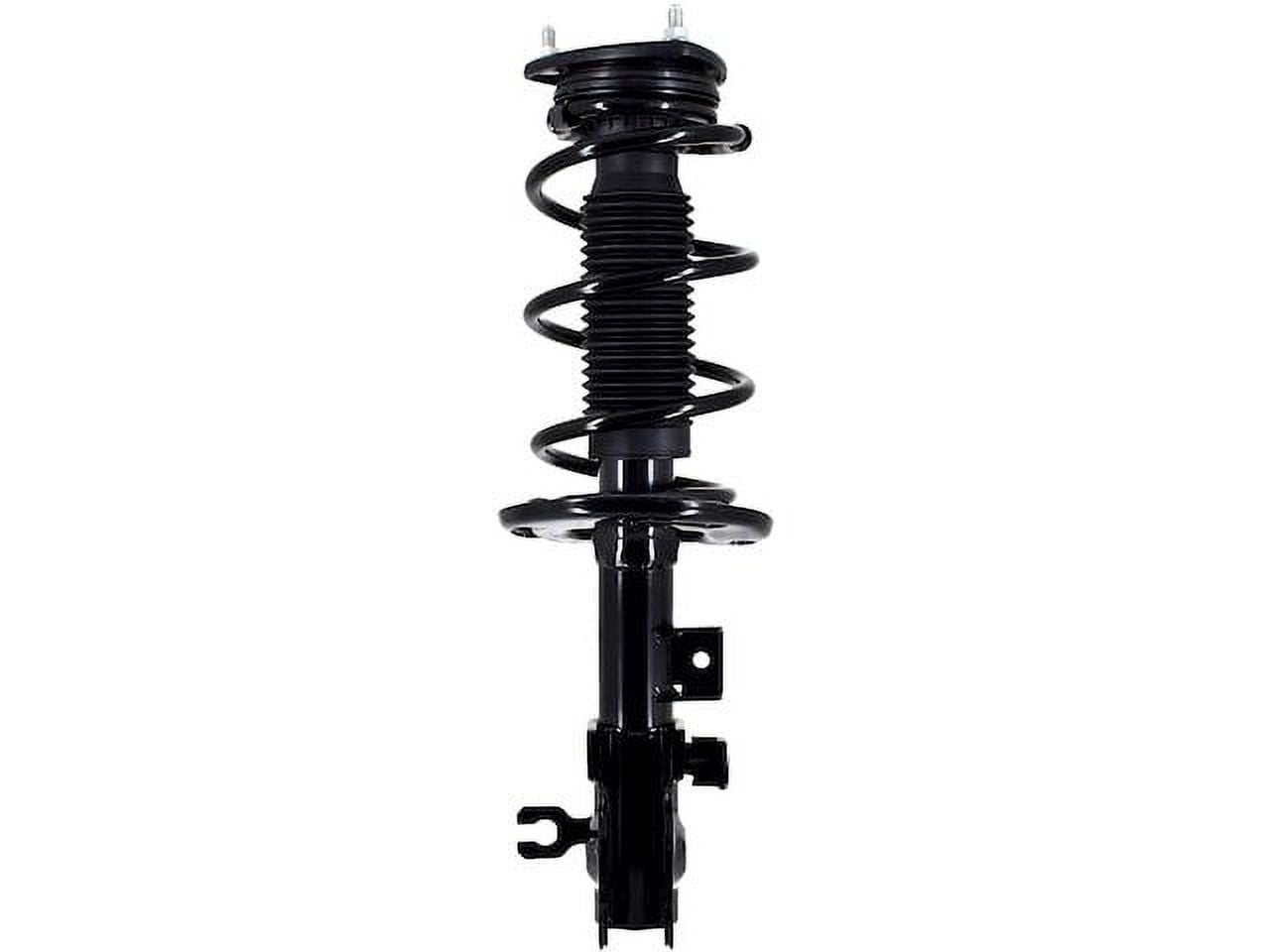 Front Left &Right Complete Strut & Coil Spring Assembly for Ford Focus