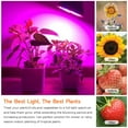 thumbnail image 3 of Gostoto 4/2/1Pcs LEDs Grow Light Bulbs 8W Full Spectrum E26 E27 Grow Bulbs Plant Light Bulbs for Indoor Plants/Veg/Flowers Grow Lighting, 3 of 5