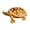 A, variant on Alloy Turtle Shape Jewelry Storage Box Mini Desktop Organizer For Ring Earring Souvenir Home Decoration