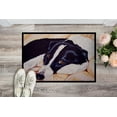 thumbnail image 2 of Carolines Treasures AMB1080JMAT Tapis d'Intérieur Ou d'Extérieur Border Collie - 24 x 36, 2 of 4