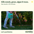 thumbnail image 2 of Sunday Weed Warrior Weed & Grass Killer, Non-Selective Herbicide, OMRI Listed, 224 sq ft, 1 Gal, 2 of 6