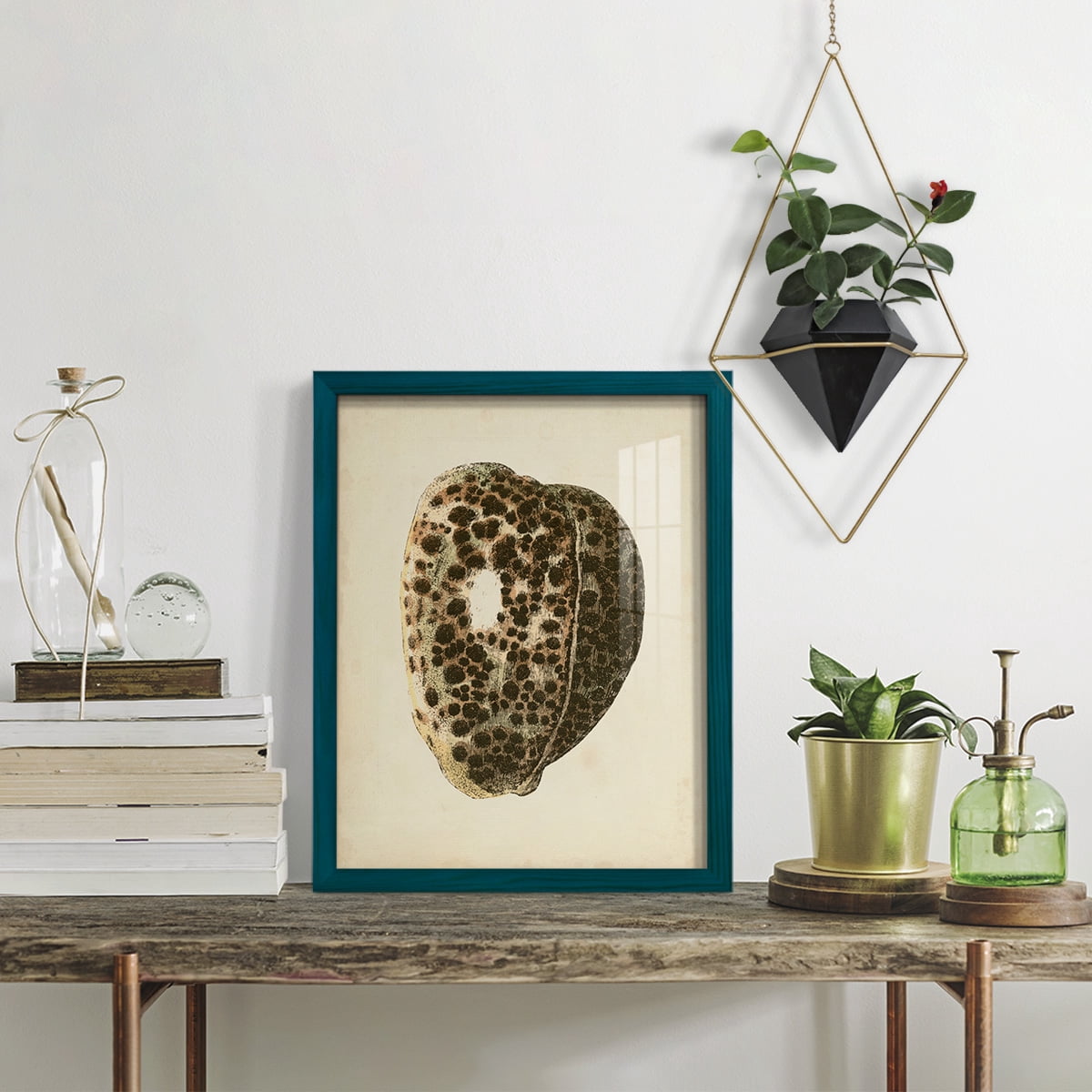 Sealife Collection III - Framed Print w/glass - Ocean Blue