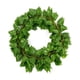 thumbnail image 1 of 24pz Enredaderas Artificiales Plantas Colgantes Decorativas., 1 of 4