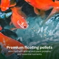 thumbnail image 4 of Kaytee Koi's Choice Pond Fish Food Floating Pellets, 3 lb, 4 of 13