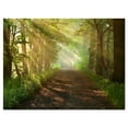 thumbnail image 2 of Suns Peeks into Forest - Landscape Photography Canvas Print, 2 of 3