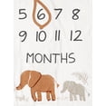 thumbnail image 2 of Modern Moments by Gerber Baby Boy Milestone Blanket & Frame Set, 2-Piece, Ivory Safari, 2 of 7