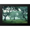 thumbnail image 2 of Podt, Martin 18x13 Black Modern Framed Museum Art Print Titled - Enchanted Forest II, 2 of 5