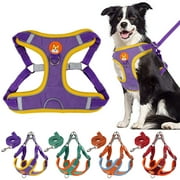Spencer No Pull Dog Harness and Leash Adjustable Reflective No-Choke Pet Vest Harness Nylon Easy Control for Small Medium Large Dogs （M, Purple）