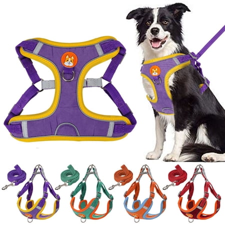 Spencer No Pull Dog Harness and Leash Adjustable Reflective No-Choke Pet Vest Harness Nylon Easy Control for Small Medium Large Dogs (S Purple)