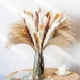 thumbnail image 2 of Pampas Grass 90 Uds. Flores secas naturales, compatibles con decoraciones para el hogar y la habitación, hierba de Pampas 100% Natural D, 2 of 3