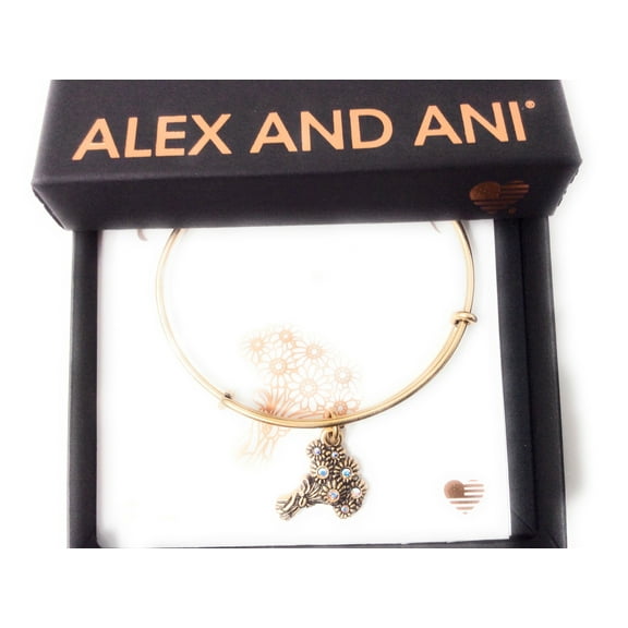 Alex and Ani Womens I Pick You EWB Bangle Bracelet, Expandable