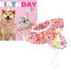 thumbnail image 5 of Gorro Y Oferta De Cumpleaños Para Mascotas, Adorables Y Suaves Decoraciones De Cumpleaños Para Mascotas, Hilo Suave Y Seda Para Tomar Fotos Para Gatos, 5 of 8