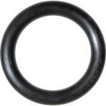 Danco 15/16 in. D X 11/16 in. D Rubber O-Ring 1 pk
