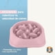 thumbnail image 2 of P.U.P. SUPPLY | Plato para Alimentación Lenta - Plato para Perro y Mascotas | Ideal para Todas Las Razas - Platos para Perro | Rosa, 2 of 6