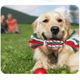 thumbnail image 5 of Juguete masticable de dentición para cachorros de algodón, cuerda duradera para masticar para mascotas, regalo para mascotas, 5 of 5