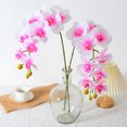 thumbnail image 3 of Artificial Orchid Stems Real Touch Orchid 38 inch Tall Fake Butterfly Phalaenopsis Flower for Vase Home Wedding Decoration, 3 of 6