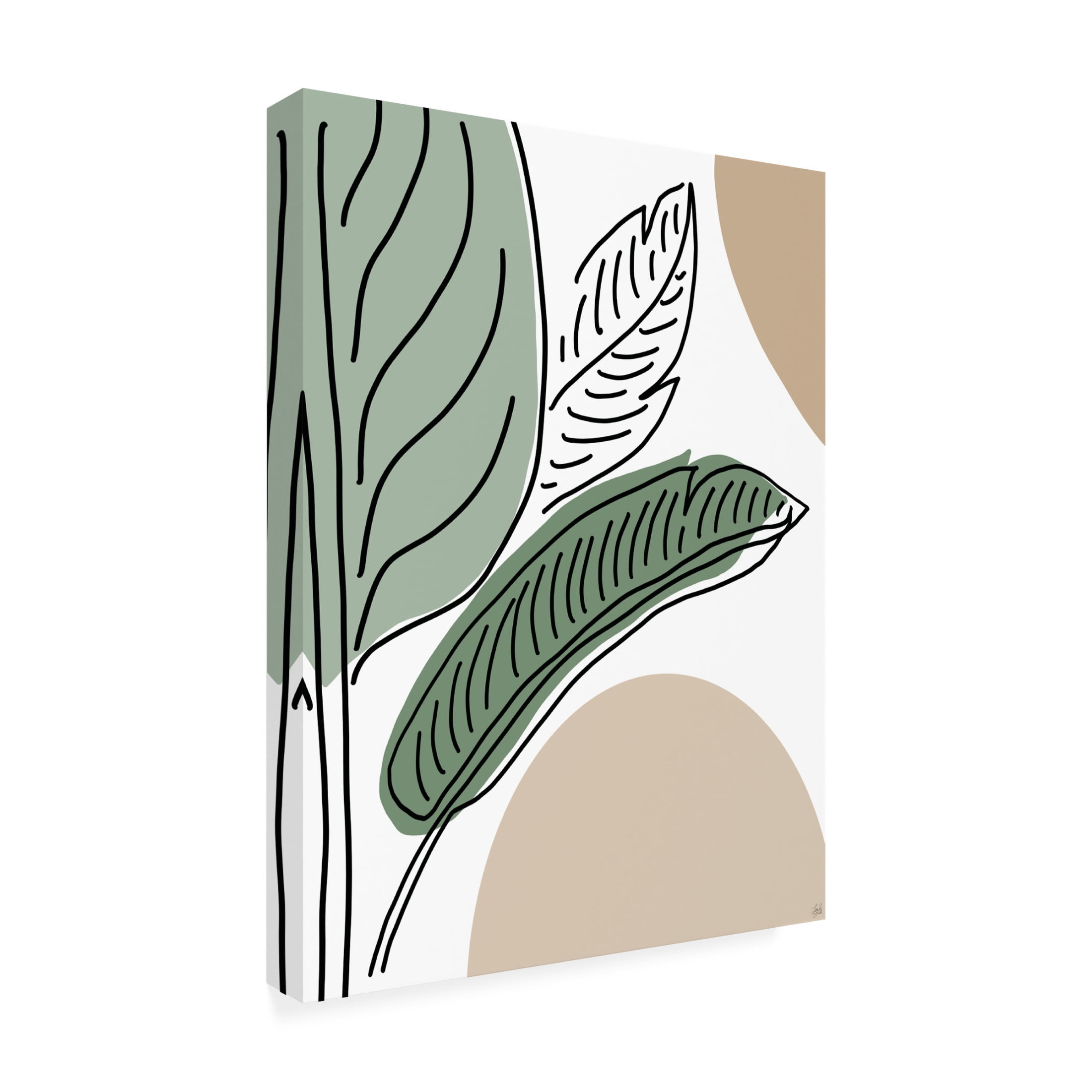 Canvas Wall Art - Line and Brush 'Ferns By Lines 2' Wall Art for Living Room, Bedroom, or Office Décor by Trademark Fine Art - 35 x 47 Inches