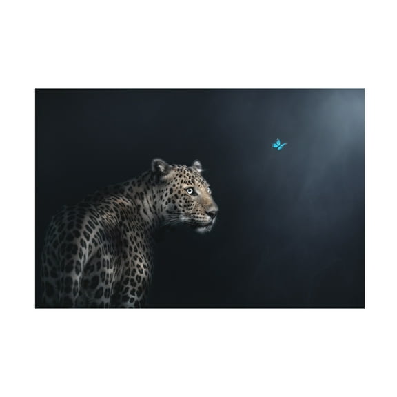 Trademark Fine Art Jayanta Guha Imagination Canvas Wall Art