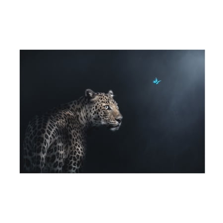Trademark Fine Art Jayanta Guha Imagination Canvas Wall Art