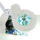 thumbnail image 5 of 5x Diopter (2.25x Magnification) Portable Rolling Magnifying Floor Lamp Facial Skin Beauty Jewelry Yescom Modern, 5 of 11