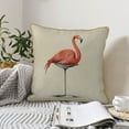 thumbnail image 4 of KLL Flamingo Sitting On Chair Decorative Throw Pillow Covers Velvet Soft for Couch Sofa Bedroom Living Room Outdoor (No pillow core)- 20"x20", 4 of 5