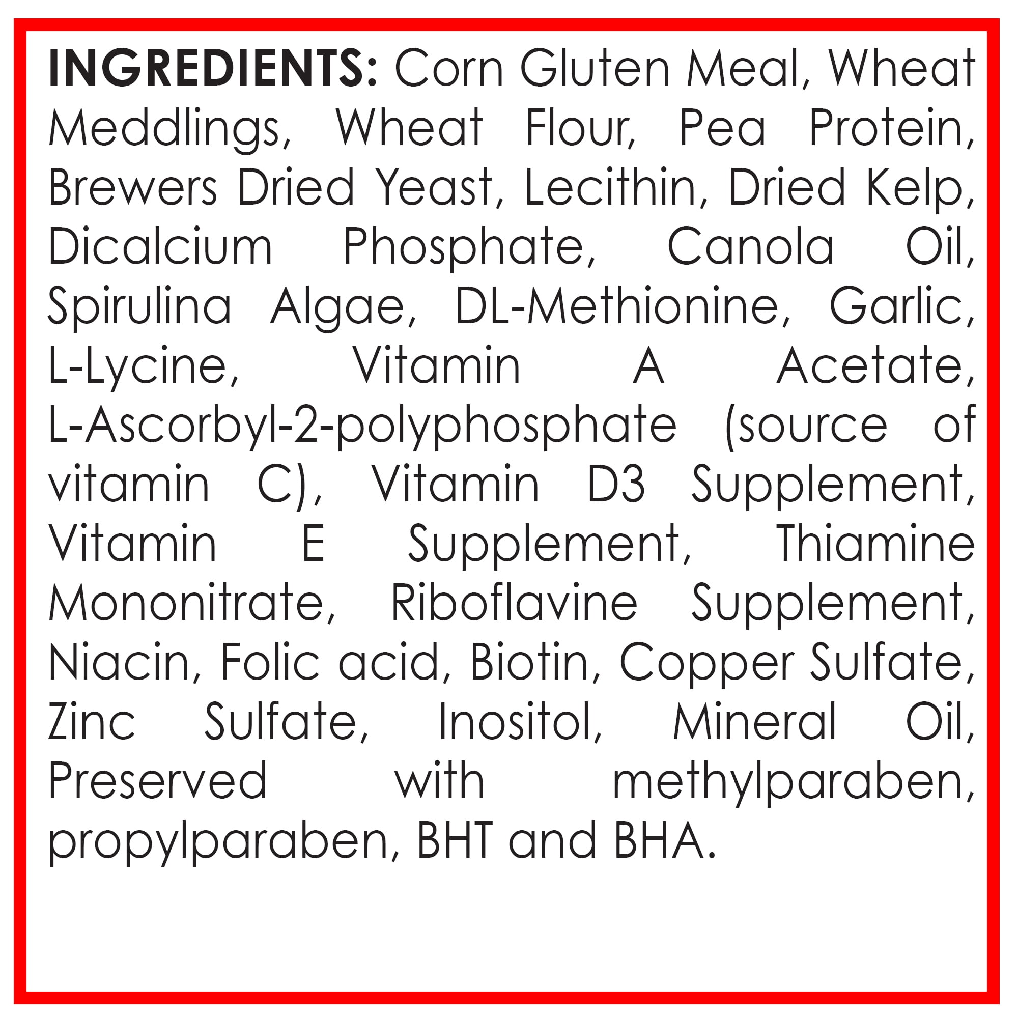 api vacation fish feeder