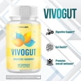 thumbnail image 5 of Vivogut Advanced Gut Support Pills Advanced Energy Vitamin Supplement Vivo Gut 180 Capsules, 5 of 8