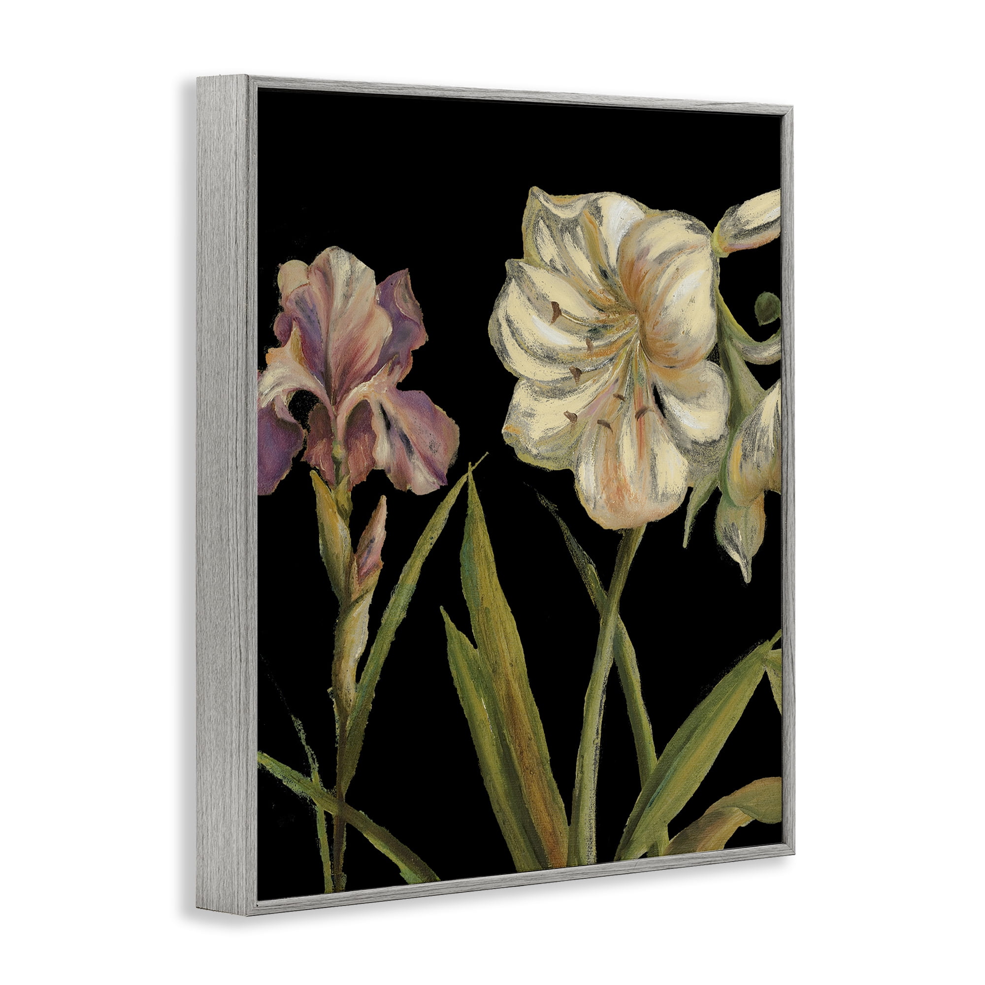 Stupell Industries Iris Flowers on Black Botanical & Floral Painting Gray Framed Art Print Wall Art, 24 x 30