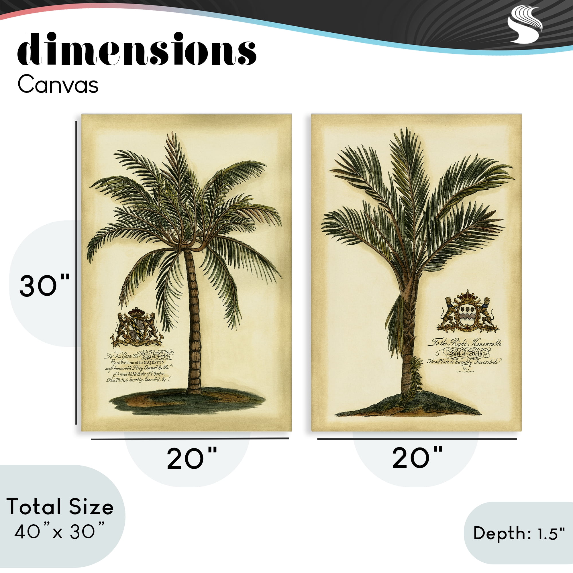 Stupell Industries Vintage Historical Palms 2 Piece Canvas Wall Art Set, design by Vision Studio
